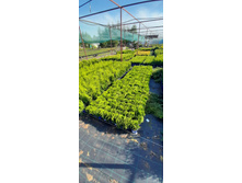 ����������� viber 2021-06-02 13-15-06.jpg