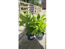 ����������� viber 2021-06-03 10-06-19.jpg