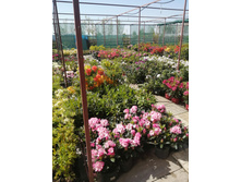 ����������� viber 2021-06-02 13-11-51.jpg