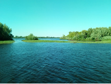 20210619 ��� ������ ����� 153312.jpg