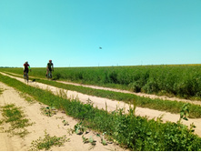 20210619 ��� ������ ����� 125209.jpg