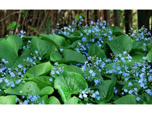 �������� ���������.jpg