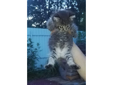 ����������� viber 2021-06-28 22-46-06.jpg