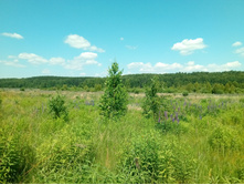 20210620 �� ������-������� 122828.jpg