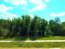 20210606 5-������� 101559.jpg