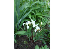 ����������  ��������� ������. ����� � ������ �������.