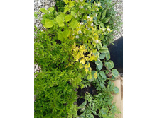 ����������� viber 2021-06-09 16-46-28.jpg