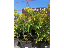 ����������� viber 2021-06-02 13-12-02.jpg