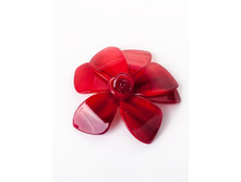 ����� Chance - ��������� Selena Selena ���. 30059510