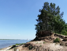 IMG 20210620 140820.jpg