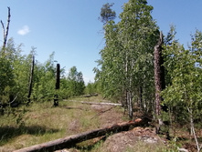 IMG 20210605 111943.jpg