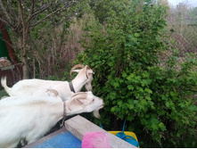 IMG 20210515 195847 — �����.jpg