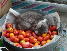 ��� �� ������ ��������� ����� �� �����!