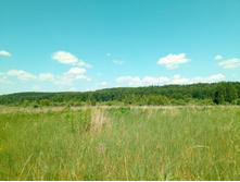 20210620 �� ������-������� 122811.jpg