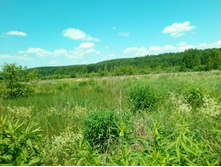 20210620 �� ������-������� 122803.jpg