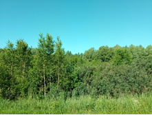 20210619 ��� ������ ����� 083036.jpg