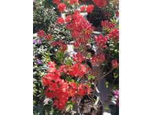 ����������� viber 2021-06-02 13-09-49.jpg