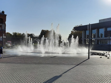 20200927 090428(0).jpg