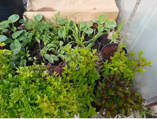 ����������� viber 2021-06-09 16-47-06.jpg