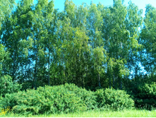 20210619 ��� ������ ����� 100905.jpg