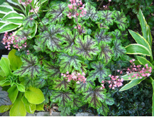 ���������� ��������� Tapestry ��������.jpg