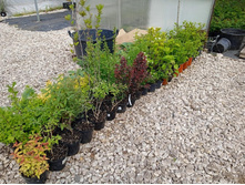 ����������� viber 2021-06-09 16-45-50.jpg