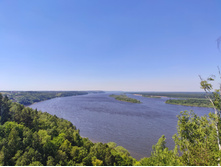 IMG 20210619 123015-01.jpeg