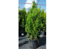 ����������� viber 2021-06-02 13-17-07.jpg