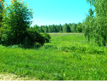 20210619 ��� ������ ����� 101002.jpg