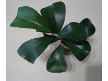 ����� �������������� - 400 ���.