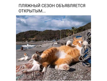 ������� ����� ����������� �������� ...