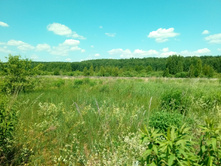 20210620 �� ������-������� 122804.jpg