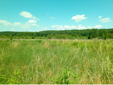 20210620 �� ������-������� 122808.jpg