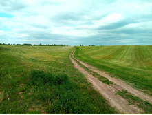 20210605 �� �������� ������ ��� 153027.jpg