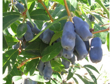 ��������� ����������.jpg