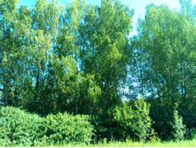 20210619 ��� ������ ����� 100907.jpg