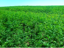 20210619 ��� ������ ����� 104254.jpg