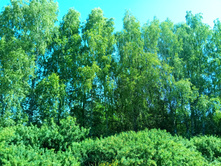 20210619 ��� ������ ����� 100904.jpg