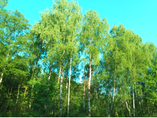 20210627 ��ͣ������� ���� 5 063624.jpg