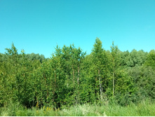 20210619 ��� ������ ����� 083038.jpg