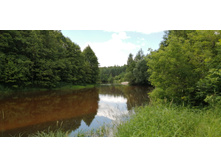 IMG 20210705 114417.jpg