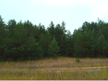 20210703 �600 ���������������� 072550.jpg