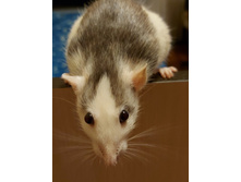 ������ 8.jpg