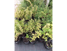 ����������� viber 2021-07-21 14-09-04-257.jpg