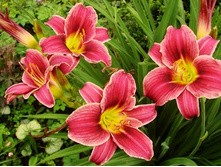 �������� ����� ����� -100���.   ����� 2-3 �����.