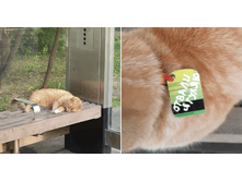 ������, � �����!