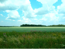 20210710 ������������� ���� 1002.jpg