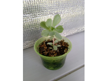 IMG 20210727 150103[1].jpg