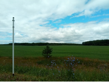 20210703 �600 ���������������� 132636.jpg