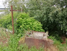 IMG 20210703 122917.jpg